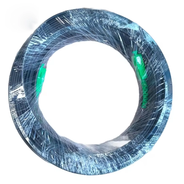 Distributed Fiber Optic Sensing Experimental System
